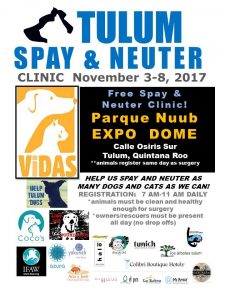 Tulum Spay & Neuter Clinic @ Parque Nuub 